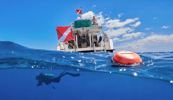 ทุ่นสำหรับ “นักดำน้ำ” รู้ได้อยู่ที่ไหน แถมส่งข้อความหากันได้