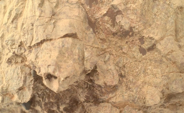 ยานเพอร์เซเวียแรนซ์ตรวจพบหินรูปร่างคล้าย "เต่าบนดาวอังคาร" 