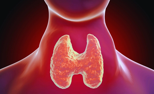 อนามัยโลกเตือน คนอายุน้อยกำลังป่วยเป็น มะเร็งไทรอยด์ มากขึ้น