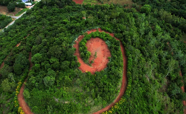 ปลูกป่าชุมชนสระบุรี เสริมระบบนิเวศ-ดูดซับคาร์บอน