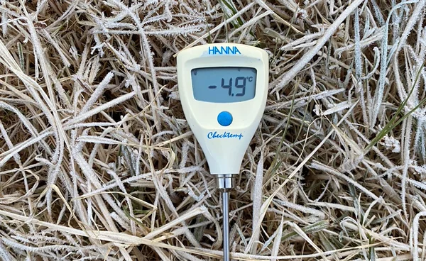 เชียงใหม่ - ลำปางหนาวจัด! อินทนนท์วัดอุณหภูมิยอดหญ้าติดลบ 4.9 องศาฯ 