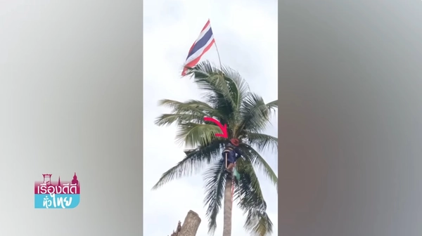 ฮือฮา"คุณตา"สุดสตรอง อัญเชิญธงชาติไทยขึ้นสู่ยอดมะพร้าว | เรื่องดีดีทั่วไทย | 30-07-68