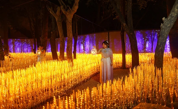 ณ สัทธา อุทยานไทย เนรมิตงานไฟ "Nasatta Light Festival 2026" สู่ สรวงสวรรค์นางฟ้า สุดตระการตาน้อมนำพระราชดำริด้านอนุรักษ์ของ สมเด็จพระพันปีหลวง
