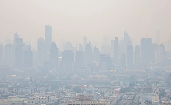 ม.เกษตรฯ เผย "ฝุ่น PM 2.5 " ใน กทม. มาจากการเผาไหม้ ลดฝุ่นจากรถยนต์ช่วยได้ 