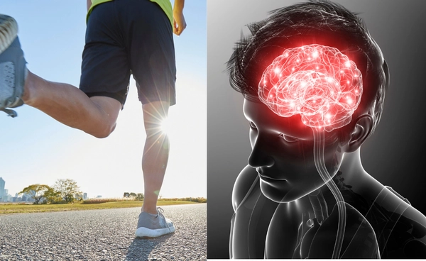 พลังขาบอกประสิทธิภาพสมอง ขาแข็งแรง สมองฟิต