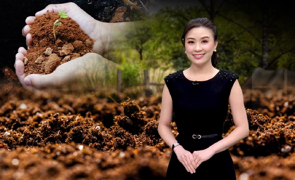 “ดิน” ทรัพยากรที่ถูกมองข้าม เครื่องมือสำคัญช่วยต่อสู้โลกร้อน