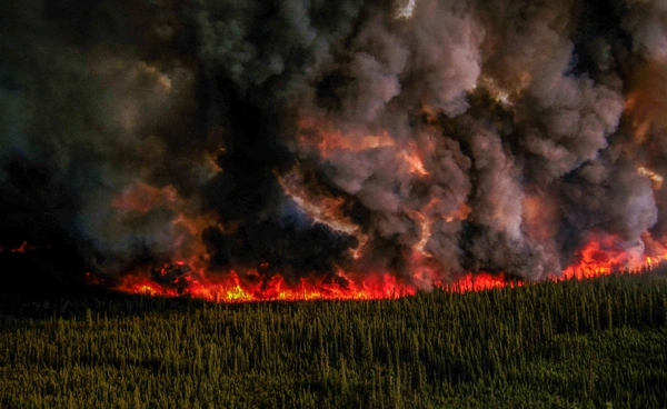 โลกกำลังไหม้  ไฟป่าปี 2024–2025  เผาโลกเท่าประเทศอินเดีย