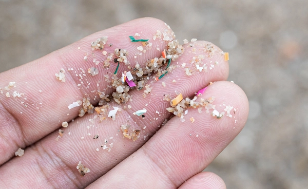 สมอง ปอด และเลือดของมนุษย์  กำลังเต็มไปด้วย “ไมโครพลาสติก”?