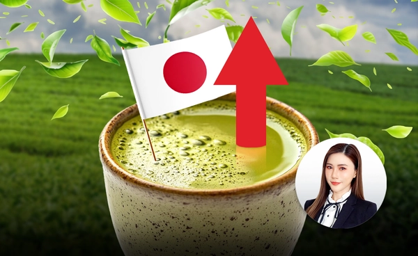 แพงแต่ขายดี ชาเขียว "มัตจะ" Matcha เขย่าตลาดโลก เทรนด์มาแรง เศรษฐกิจ-วัฒนธรรม   