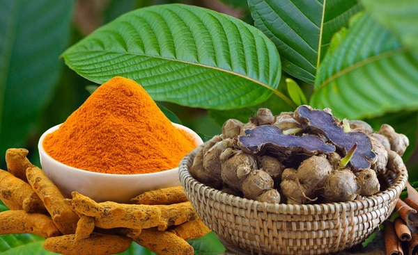 หนุน ไพล กระชายดำ กระท่อม เป็น Herb of the year สร้างรายได้และส่งออกต่างประเทศ
