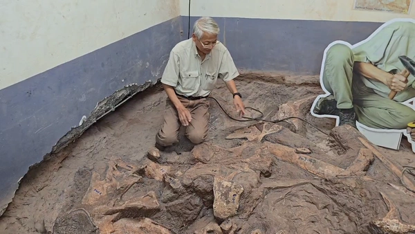 ขุดพบฟอสซิล"ไดโนเสาร์ตัวที่ 6" สายพันธุ์ใหม่ของเมืองขอนแก่น | เรื่องดีดีทั่วไทย | 7-08-68