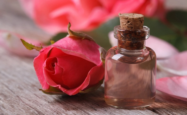 เกาหลีใต้คิดค้น “กาวกุหลาบ” กาวชีวภาพรักษ์โลก ปรับความเหนียวได้โดยใช้ “แสง”