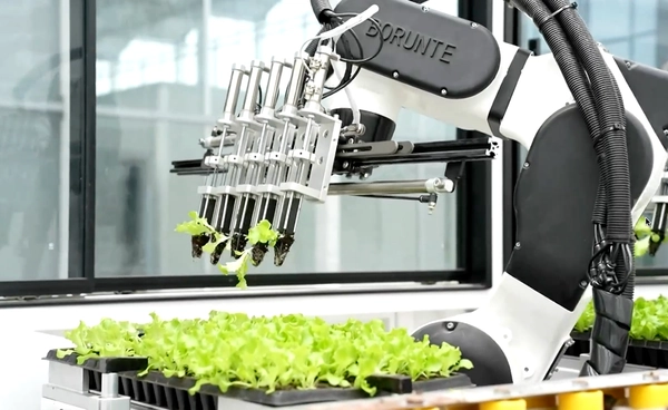 “ฟาร์มไฮเทค” ในจีน ปลูก-เก็บเกี่ยวผักด้วยระบบอัตโนมัติ 100% ไร้แรงงานคน