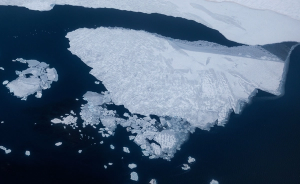 อาร์กติกวิกฤต! พื้นที่น้ำแข็งลดต่ำสุด  สัตว์ทะเลเผชิญอันตรายใหญ่