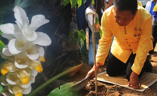 พิจิตรปลูกป่าเฉลิมพระเกียรติ ชูทุ่งกระเจียวยักษ์ดึงท่องเที่ยว