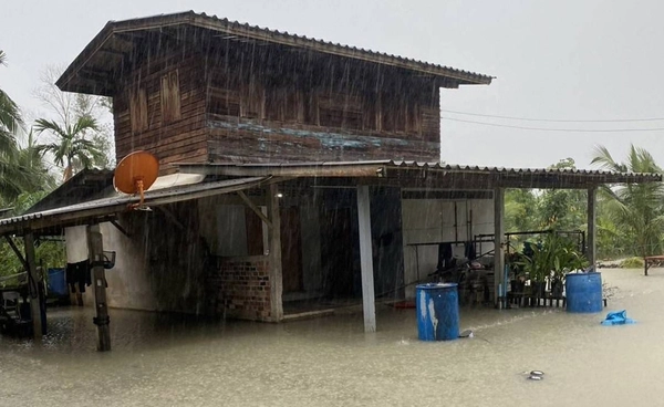 ฝนตกหนัก! น้ำท่วมใต้ ยังประสบภัย 8 จังหวัด กระทบ 124,003 ครัวเรือน