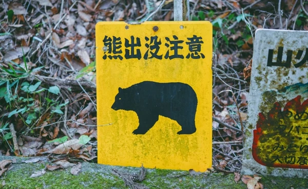 เข้าป่าญี่ปุ่นระวังเจอหมี หญิงสูงอายุถูกหมีทำร้าย เสียชีวิต 1 ราย