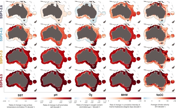 วิกฤตทะเล “ออสเตรเลีย” ที่หลบภัยสิ่งมีชีวิตจะหายเกลี้ยง ภายใน 15 ปีจาก “โลกร้อน”