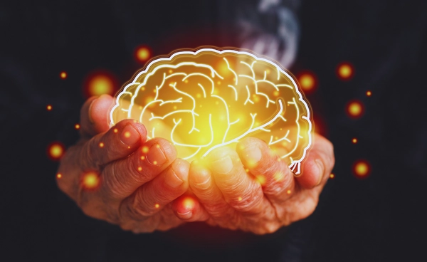 นักวิจัยค้นพบโปรตีนช่วยปกป้องสมองจากการเสื่อมตามวัย