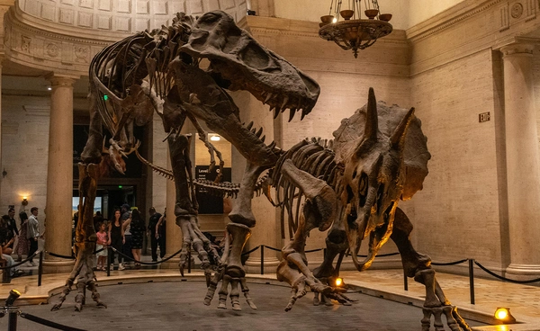 นักวิจัยชี้ ไดโนเสาร์อาจเดินช้ากว่าที่เคยเชื่อถึง 4 เท่า หากคำนวณความเร็วจากรอยเท้า