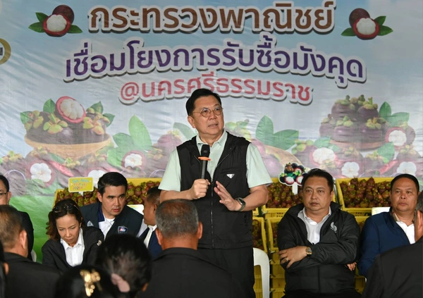 "พาณิชย์"  ลุยช่วยมังคุดนคร ดึงห้างค้าส่ง-ค้าปลีก ล้ง เข้าซื้อดันราคาขยับต่อเนื่อง