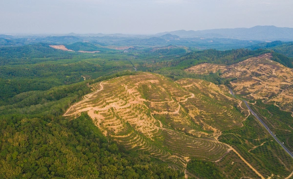 รำลึก 35 ปี สืบ นาคะเสถียร เผยป่าไม้ไทยเหลือเพียง 31%  สัญญาณวิกฤต ป่าลดลงต่อเนื่อง