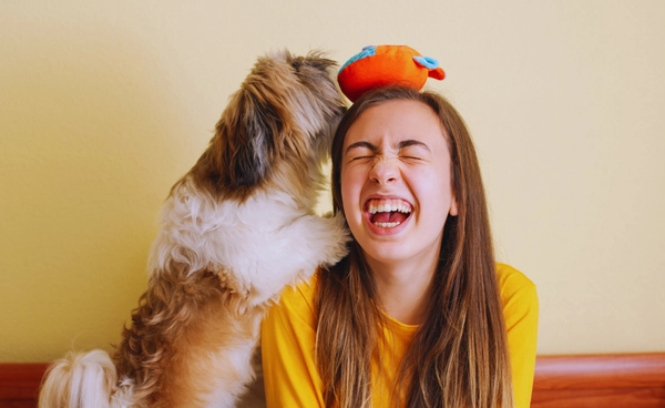 ผลสแกนสมองสุนัขยืนยัน สุนัขรักเจ้าของ มากกว่าสุนัขด้วยกันเอง