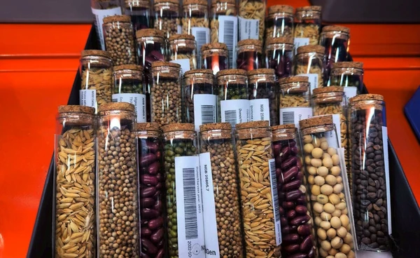 อพวช.เผยสถิติคลังเมล็ดพันธุ์โลก เก็บพันธุกรรมพืช 6,300 ชนิด