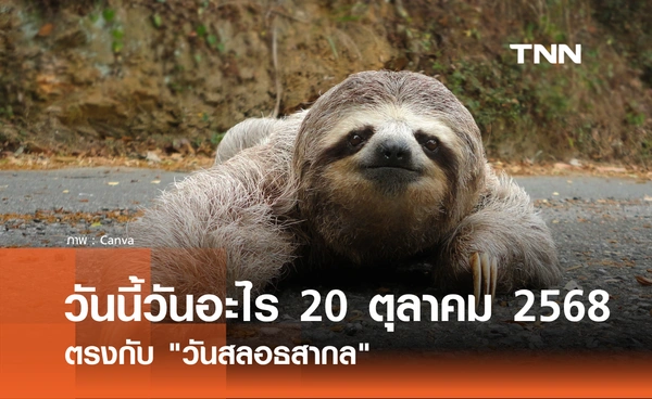 วันนี้วันอะไร วันที่ 20 ตุลาคม 2568 วันสลอธสากล