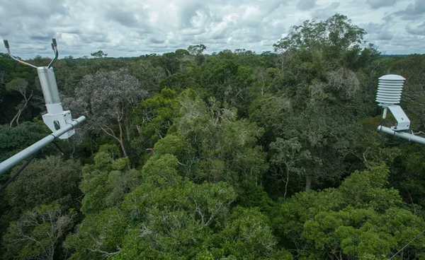 นักวิจัยทดลองไทม์แมชชีนส่อง “Amazon” เผยอนาคตป่าภายใต้ภาวะโลกร้อน