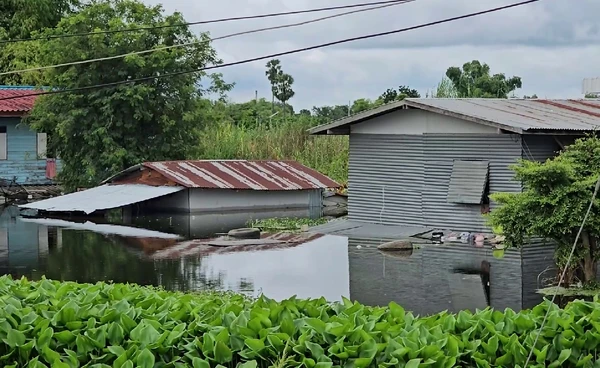 บางระกำน้ำท่วมสูงกว่า 1 เดือน ชาวบ้านเริ่มขาดแคลนอาหาร น้ำเหนือไหลสมทบ ระดับน้ำเพิ่มต่อเนื่อง