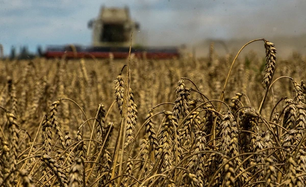 โลกร้อนคุกคามโต๊ะอาหาร ข้าวสาลี กาแฟ ไวน์เสี่ยงหมดโลก