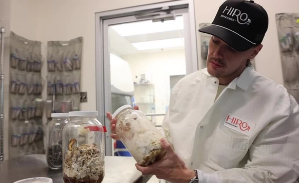 ชุดย่อยสลาย “ผ้าอ้อมเด็ก” ด้วย “เชื้อรา” คู่หูใหม่กำจัดขยะจากหลุมฝังกลบ