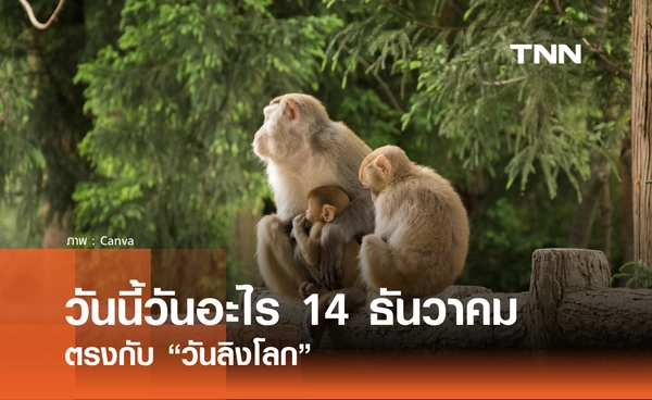 วันนี้วันอะไร วันที่ 14 ธันวาคม 2568 วันแห่งลิง
