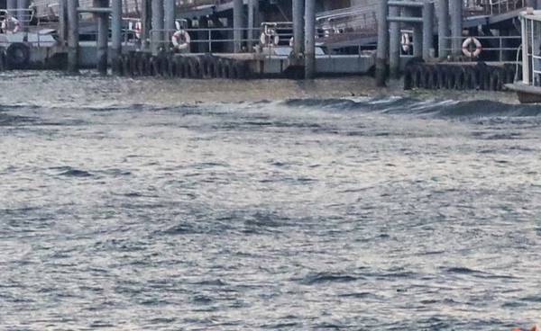 สทนช. ประกาศเตือน 7 จังหวัดเฝ้าระวังน้ำทะเลหนุนสูง ช่วง 3-6 ตุลาคม 2568