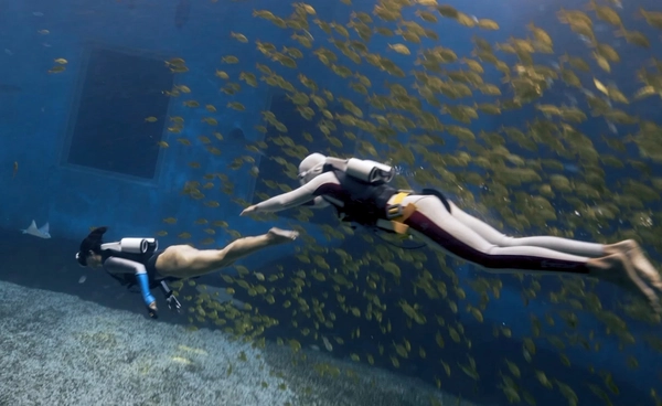 เจ็ตแพ็กใต้น้ำ XiaoTun ราคาย่อมเยา ทางเลือกใหม่สำหรับนักดำน้ำทั่วไป