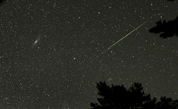 ชวนชม "ฝนดาวตกเจมินิดส์" คืน 14 ธันวาคม เริ่มสังเกตได้ตั้งแต่ 2 ทุ่ม