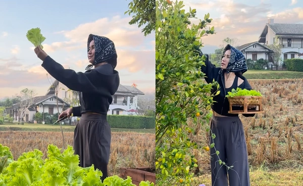 "แอน ทองประสม" เผยคลิปสุดอบอุ่น "บ้านนา" ที่จังหวัดเชียงใหม่ 