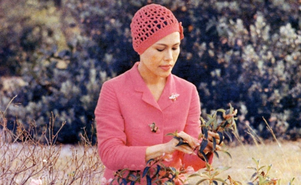 รำลึกพระราชกรณียกิจ สมเด็จพระพันปีหลวง ทรงพิทักษ์รักษาสรรพสิ่ง