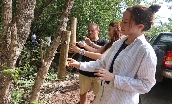 ททท. ชวนเที่ยวเส้นทางสีเขียว ร่วมปล่อยผึ้งชันโรงคืนสู่ธรรมชาติฟื้นฟูระบบนิเวศ ส่งเสริมมาตรฐานมุ่งเป้าตลาดนักท่องเที่ยว EU