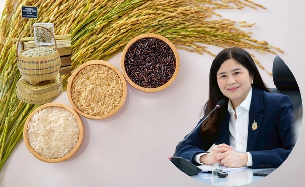 กรมการค้าต่างประเทศ บุกงานแสดงสินค้า China – ASEAN Expo ดันยอดส่งออกข้าวไปจีน