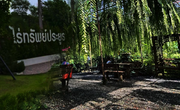 ไร่ทรัพย์ประยูร คาเฟ่ ลพบุรี สวนเฟิร์นใหญ่ อาหารเด็ด วิวดี