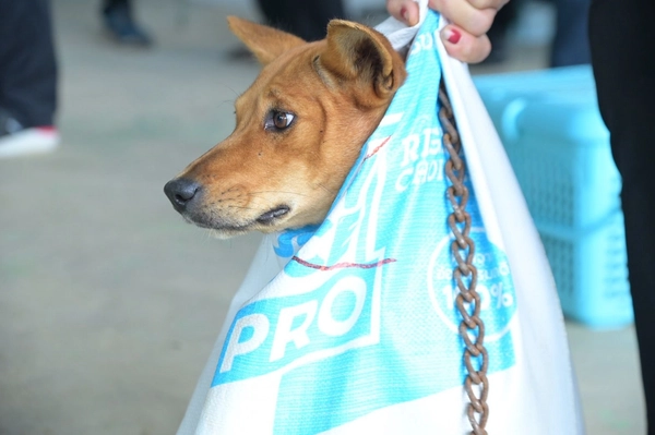 เร่งคุมโรคพิษสุนัขบ้าในพื้นที่เสี่ยง จ.ตาก 