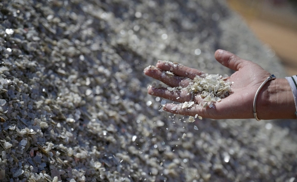 เตือนขุดแร่หายาก ไทยเสี่ยงวิกฤตสิ่งแวดล้อม  จากเหมืองเถื่อนไร้มาตรฐาน