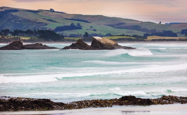 มหาสมุทรอุ่นเร็วขึ้น คุกคามทะเลนิวซีแลนด์ โลกร้อนเปลี่ยนอนาคตของประเทศ