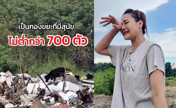 วันเกิดปีนี้ "ปุ๊กลุก ฝนทิพย์" น้ำตาไหล เลือกช่วยสุนัขจรจัด กว่า 700 ตัว กำลังอดอยาก