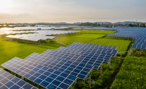 ไทยตั้งเป้า “Net Zero” เร็วขึ้น จากปี 2065 เป็น 2050 ใครเร็วก่อน ได้เปรียบกว่า!