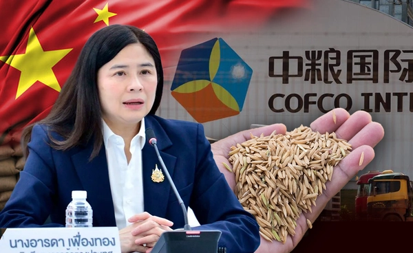 พณ.เร่งเจรจา COFCO จีนซื้อข้าว 5 แสนตัน  