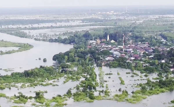 "น้ำโขง" สูงต่อเนื่อง เอ่อท่วมพื้นที่ลุ่มต่ำ พื้นที่เกษตรเสียหายกว่า 20,000 ไร่