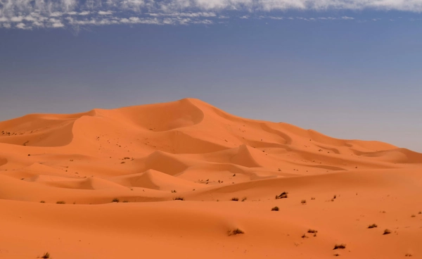 “ทะเลทรายซาฮารา” เริ่มมีฝน  โลกร้อนพลิกสมดุลธรรมชาติ